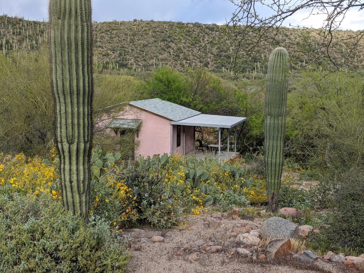 Saguaro Lake Ranch Villa Fountain Hills Eksteriør bilde